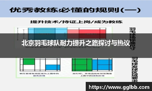 悟空体育